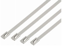 (100) 200mm Cable Ties STAINLESS STEEL