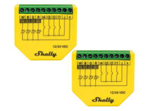 (2) SHELLY RGBW PM WiFi RGBW Controller